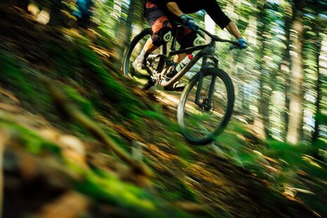 Ein Mann fährt mit einem Mountainbike durch den Wald.