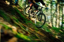 Ein Mann fährt mit einem Mountainbike durch den Wald.