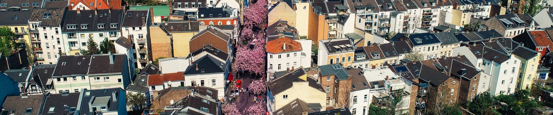 Luftbild der Kirschblüten in der Bonner Altstadt