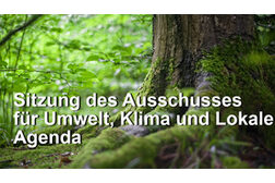 Sitzung des Ausschusses für Umwelt, Klima und Lokale Agenda